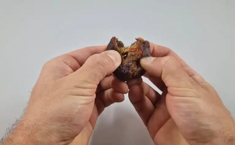 Minun oli pakko ostaa taateleita kotiin – syypäänä tämä video