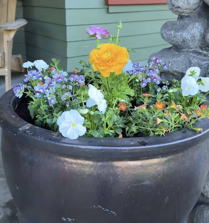 Nerokas istutusniksi leviää somessa – moni toivoisi nähneensä tämän aiemmin istutus2