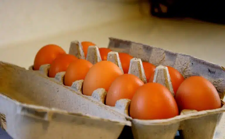 Älä heitä munakennoa pois – säästät tällä kikalla kymmeniä euroja