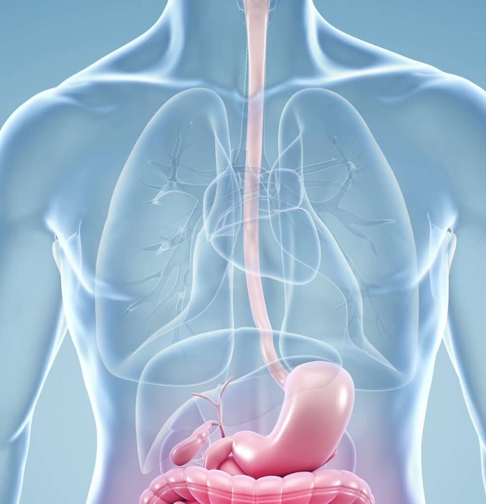 Mies eli pelkillä pikanuudeleilla – suoliston tutkimus sai lääkärit järkyttymään suolisto