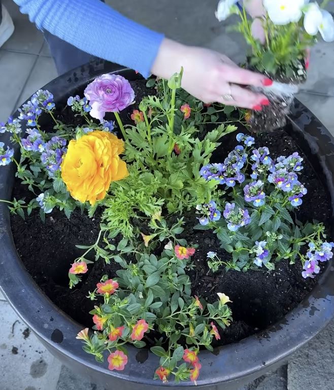 Nerokas istutusniksi leviää somessa – moni toivoisi nähneensä tämän aiemmin takaisinistutus1