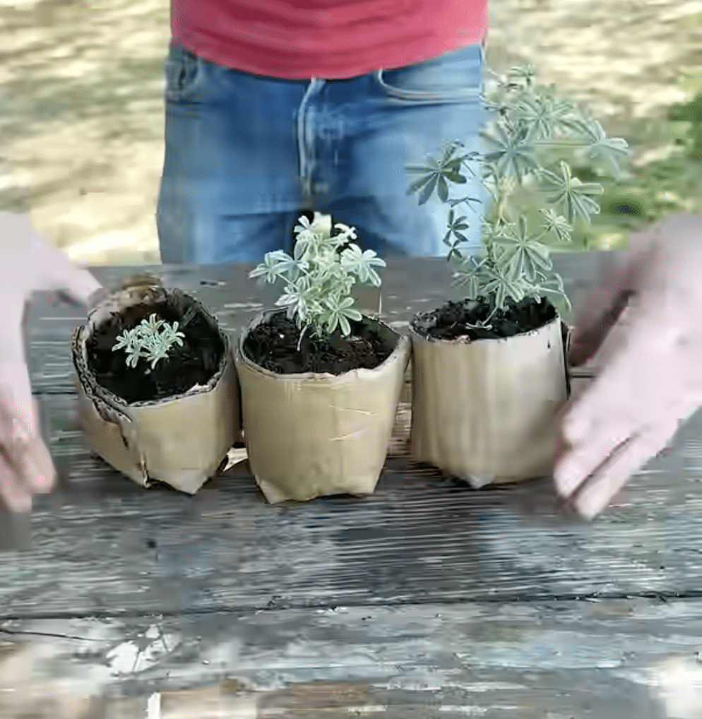 Nayttokuva 2026 04 02 kello 20.43.19