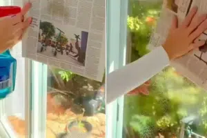 Isoäidin vanha ikkunaniksi toimii yhä – salaisuutena sanomalehti