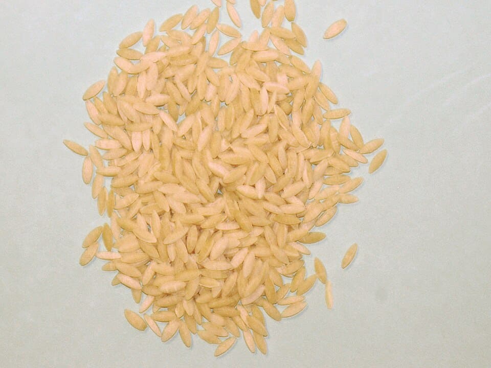 Orzo