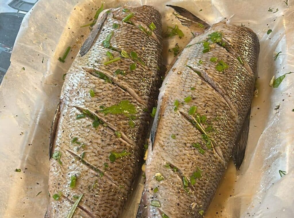 Siikaa grillissa